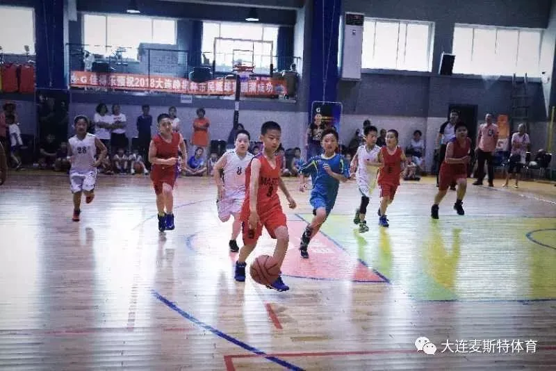 哪里能找到分卫的技术分析视频_1